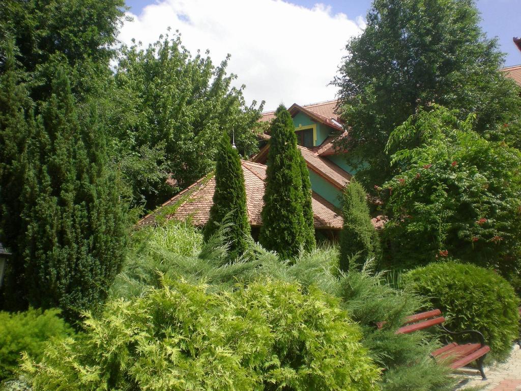 Vinski Dvor Палич Екстер'єр фото